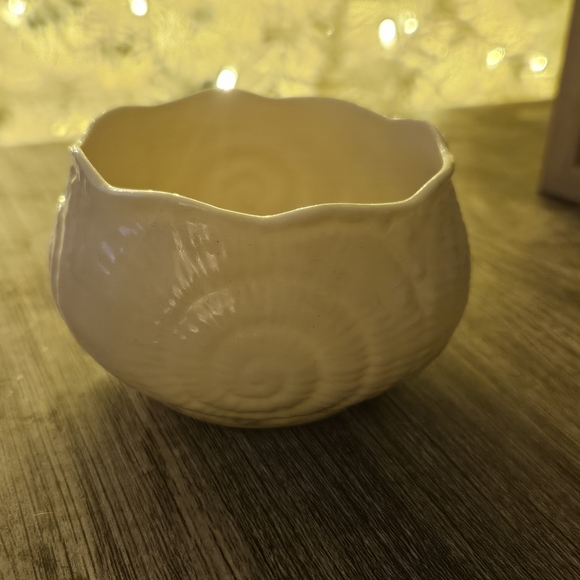 Belleek Toy Nautilus Shell Set - Picture 6 of 10